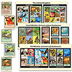 Animal Kingdom Posters